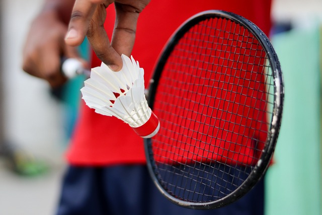 Fra hobby til elite: Valg af dame badmintonsko til alle niveauer